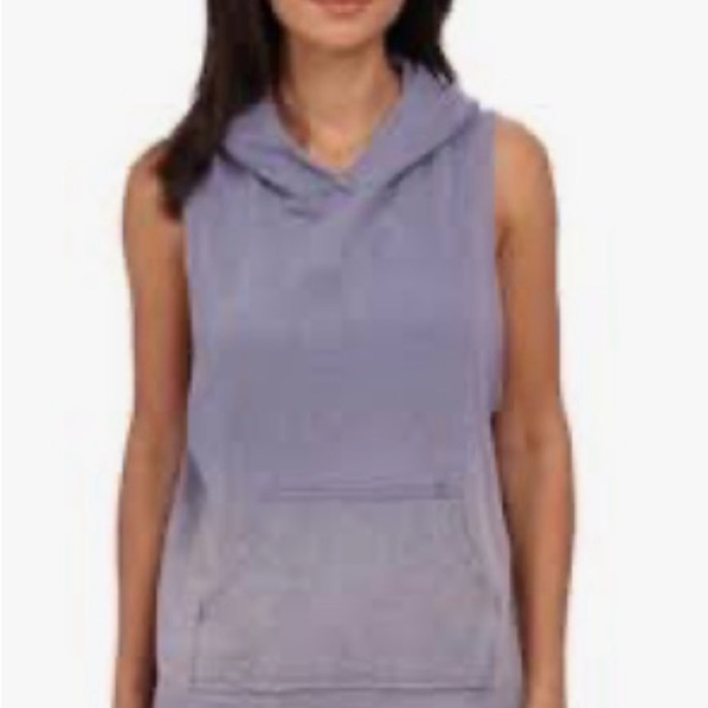 Free People Beach Day Hoodie in Purple Ombré (oversized)